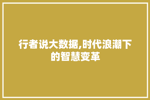 行者说大数据,时代浪潮下的智慧变革