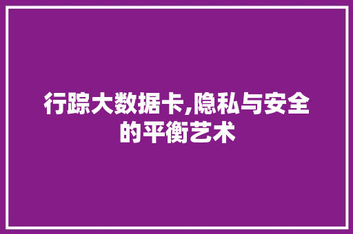 行踪大数据卡,隐私与安全的平衡艺术