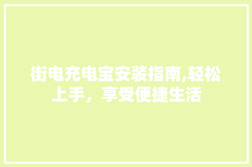 街电充电宝安装指南,轻松上手，享受便捷生活