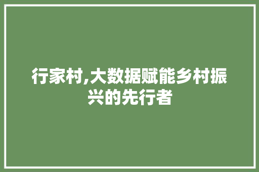 行家村,大数据赋能乡村振兴的先行者