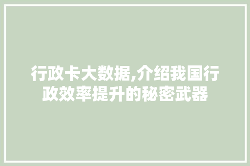行政卡大数据,介绍我国行政效率提升的秘密武器