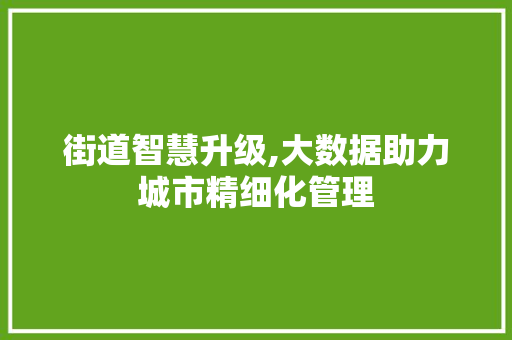街道智慧升级,大数据助力城市精细化管理