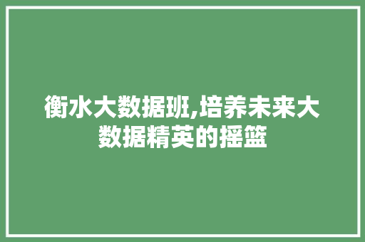 衡水大数据班,培养未来大数据精英的摇篮