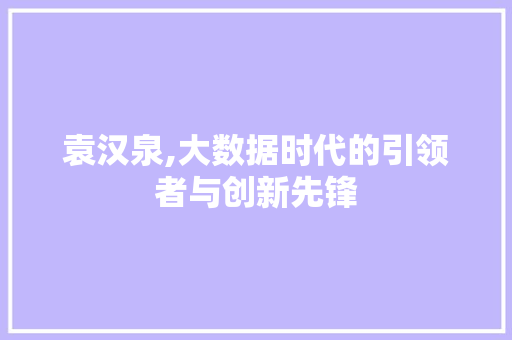 袁汉泉,大数据时代的引领者与创新先锋