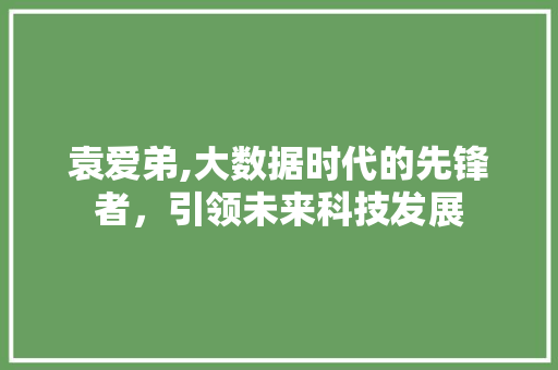 袁爱弟,大数据时代的先锋者，引领未来科技发展