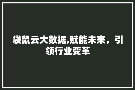 袋鼠云大数据,赋能未来，引领行业变革