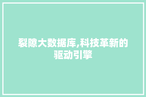 裂隙大数据库,科技革新的驱动引擎