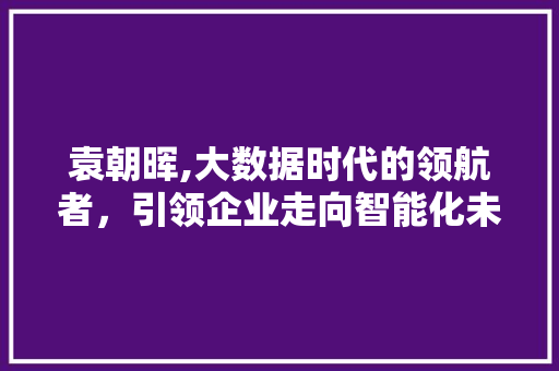 袁朝晖,大数据时代的领航者，引领企业走向智能化未来