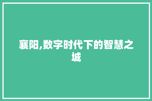襄阳,数字时代下的智慧之城