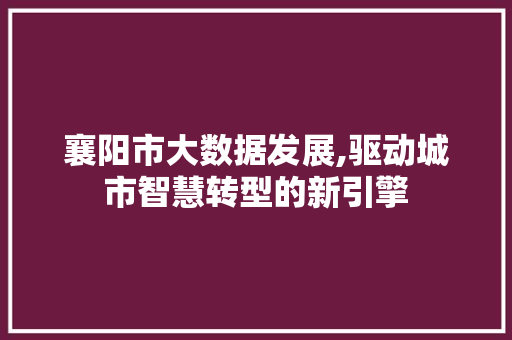 襄阳市大数据发展,驱动城市智慧转型的新引擎