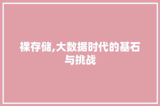 裸存储,大数据时代的基石与挑战
