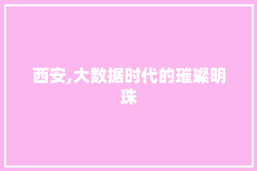 西安,大数据时代的璀璨明珠