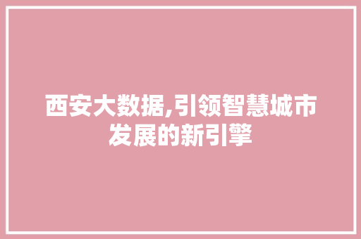 西安大数据,引领智慧城市发展的新引擎