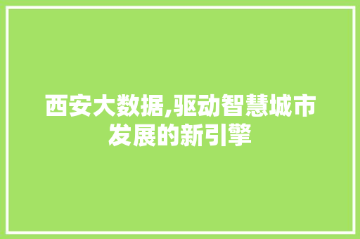 西安大数据,驱动智慧城市发展的新引擎