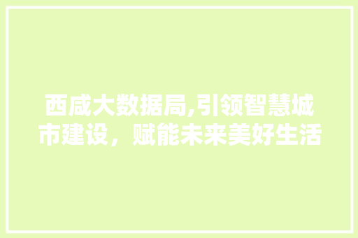 西咸大数据局,引领智慧城市建设，赋能未来美好生活