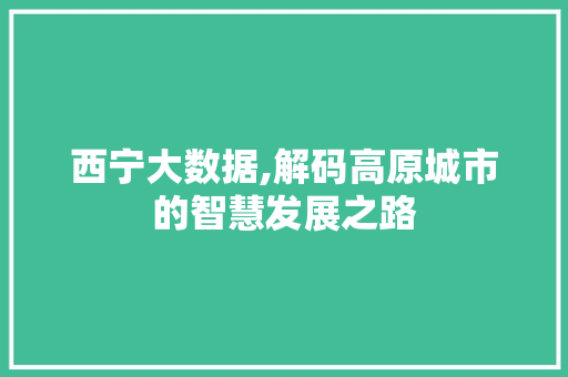 西宁大数据,解码高原城市的智慧发展之路