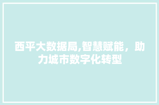 西平大数据局,智慧赋能，助力城市数字化转型