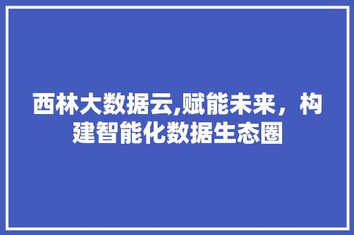 西林大数据云,赋能未来，构建智能化数据生态圈