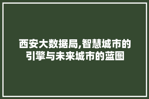 西安大数据局,智慧城市的引擎与未来城市的蓝图