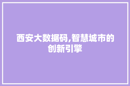 西安大数据码,智慧城市的创新引擎