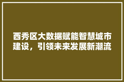 西秀区大数据赋能智慧城市建设，引领未来发展新潮流