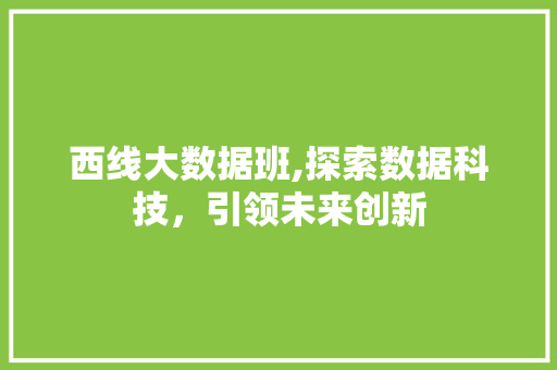 西线大数据班,探索数据科技，引领未来创新