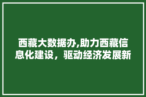西藏大数据办,助力西藏信息化建设，驱动经济发展新引擎