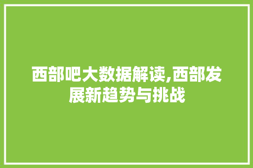 西部吧大数据解读,西部发展新趋势与挑战