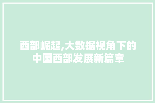 西部崛起,大数据视角下的中国西部发展新篇章