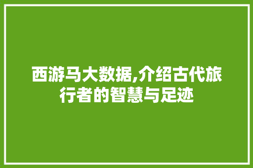 西游马大数据,介绍古代旅行者的智慧与足迹