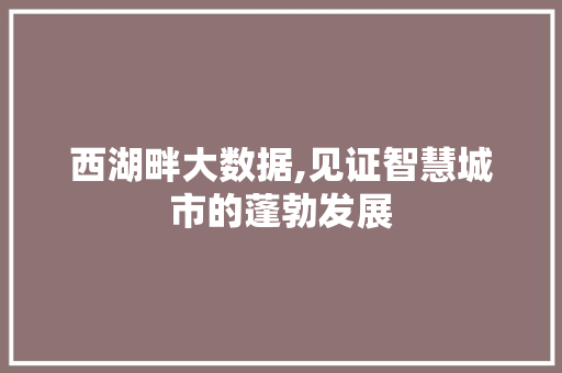 西湖畔大数据,见证智慧城市的蓬勃发展