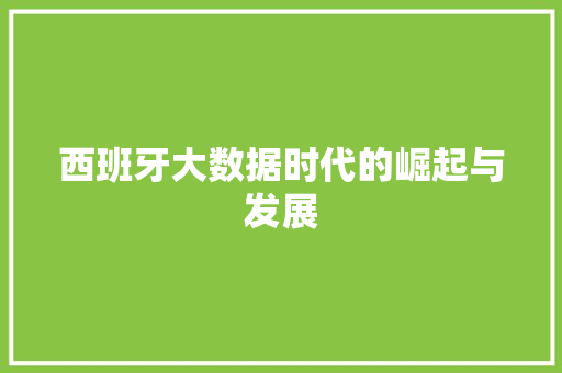 西班牙大数据时代的崛起与发展