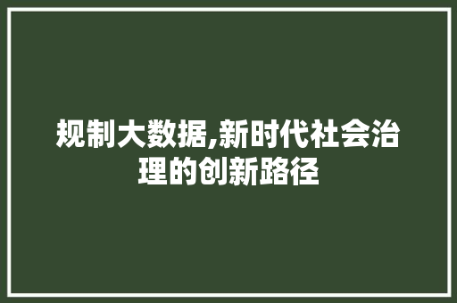 规制大数据,新时代社会治理的创新路径