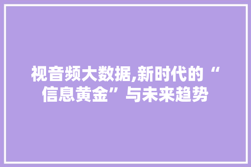 视音频大数据,新时代的“信息黄金”与未来趋势