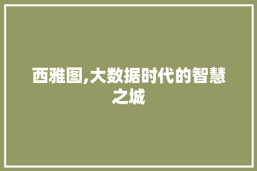 西雅图,大数据时代的智慧之城