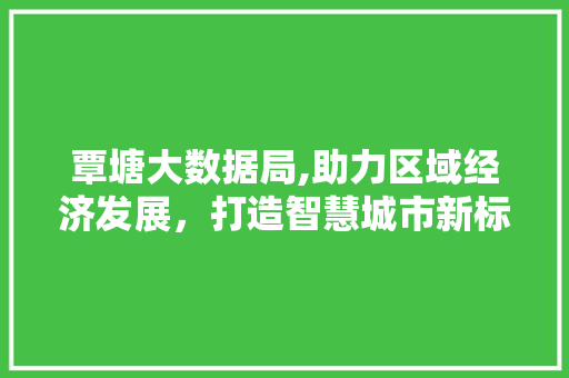 覃塘大数据局,助力区域经济发展，打造智慧城市新标杆