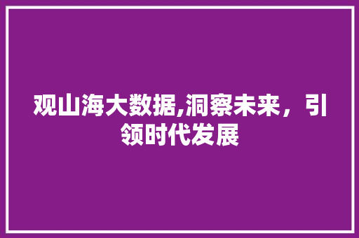 观山海大数据,洞察未来，引领时代发展