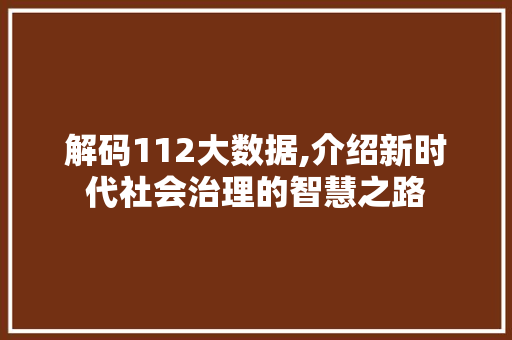 解码112大数据,介绍新时代社会治理的智慧之路