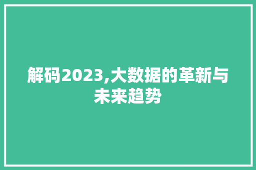 解码2023,大数据的革新与未来趋势