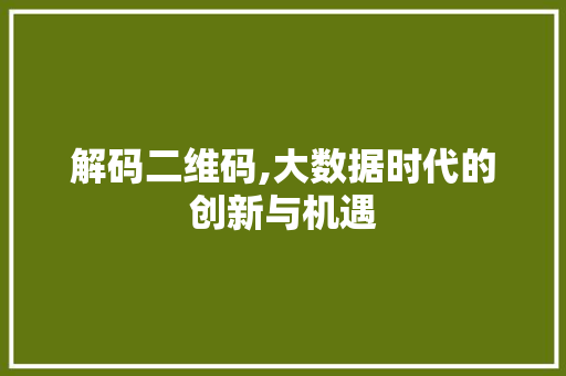 解码二维码,大数据时代的创新与机遇