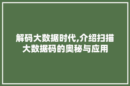 解码大数据时代,介绍扫描大数据码的奥秘与应用