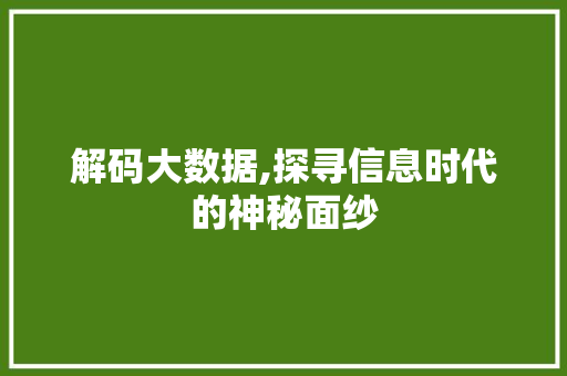 解码大数据,探寻信息时代的神秘面纱