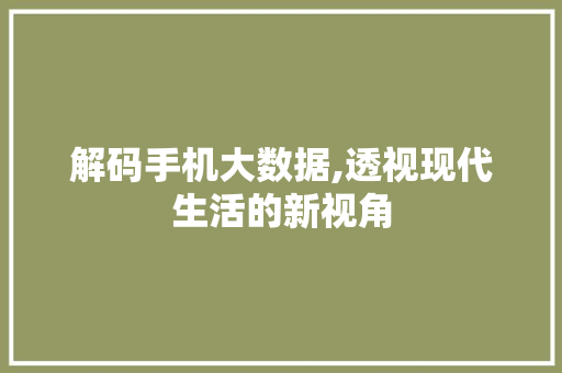 解码手机大数据,透视现代生活的新视角