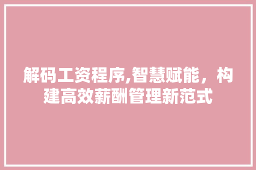 解码工资程序,智慧赋能，构建高效薪酬管理新范式