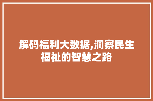 解码福利大数据,洞察民生福祉的智慧之路