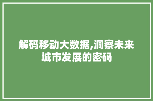 解码移动大数据,洞察未来城市发展的密码