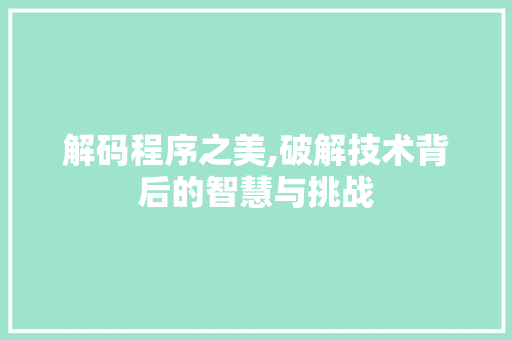 解码程序之美,破解技术背后的智慧与挑战