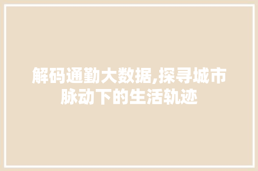 解码通勤大数据,探寻城市脉动下的生活轨迹
