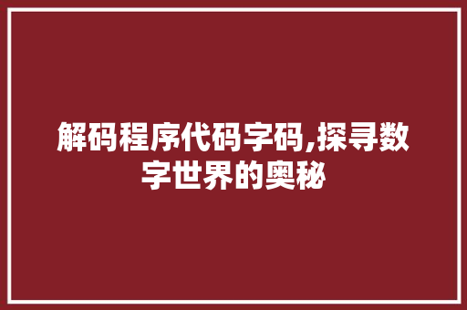 解码程序代码字码,探寻数字世界的奥秘