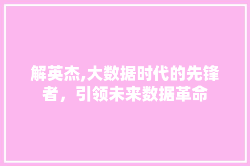 解英杰,大数据时代的先锋者，引领未来数据革命